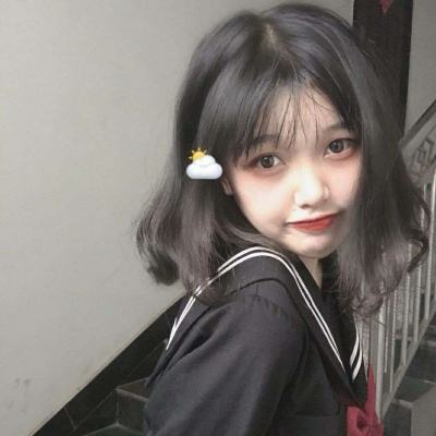 波利大作战手游破解版下载